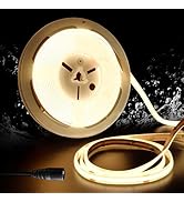 Pandery led Strip Lights Waterproof,DC24V Strip Lights IP65,3000K Warm White,320LEDs/M,8MM Wide,1...