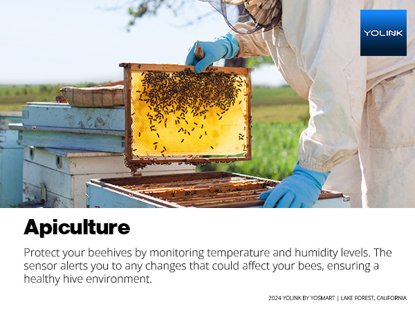 Apiculture