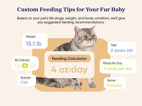 2.1_PPF-R361S-WUS_White_US_4b_Mobile