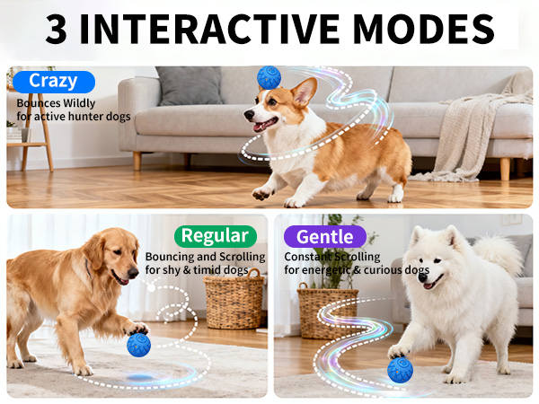 dog ball