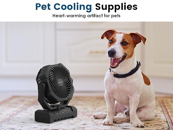 Camping Fan