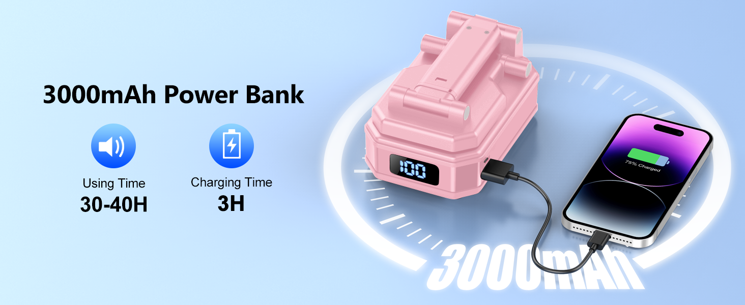 Rechargeable (3000mAh)