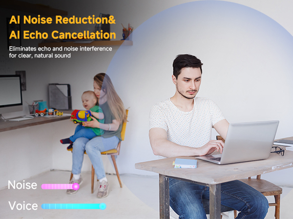 conference speaker and microphone