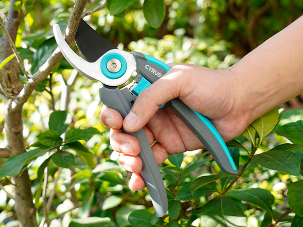 shears