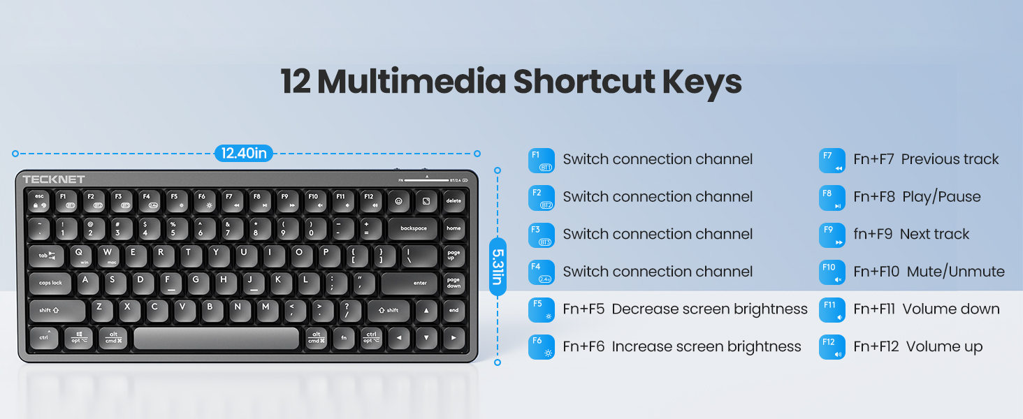 12 multimedia keys