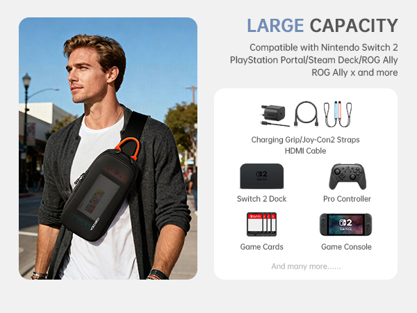 Switch 2 bag Switch 2 case