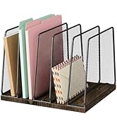 LEKETREE Desk File Organizer, 5-Section Upright File Sorter, Vertical File Folder Holder, Mesh Me...