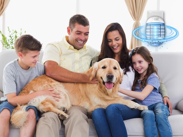 indoor bug zapper for home