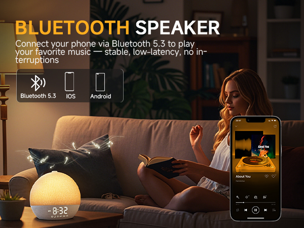BLUETOOTH SPEAKER