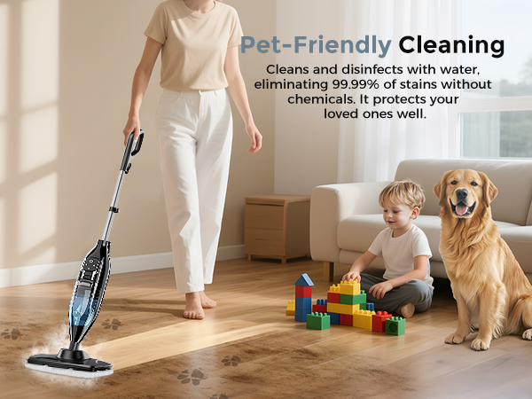 Steam Mop