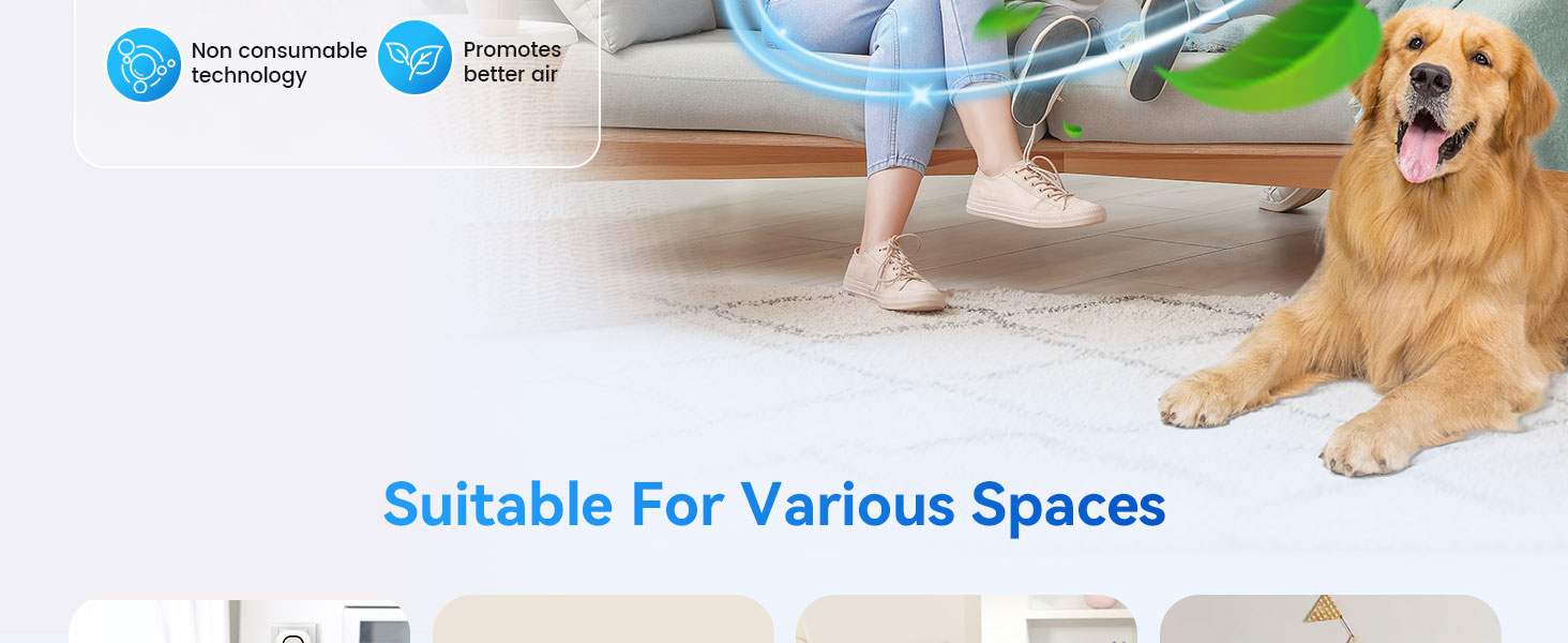 air ionizer purifier for home