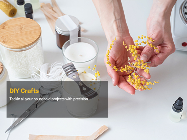 The High-Capacity Kitchen Scale