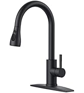 FORIOUS Black Kitchen Faucet with Pull Down Sprayer, High Arc Single Handle Classic Stainless Ste...