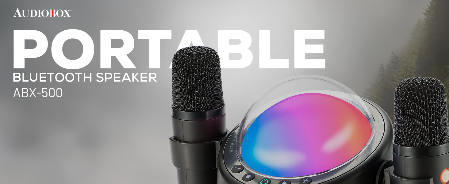 karaoke machine adult microphones family built songs recording singing portable system kareokee