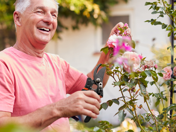 fiskars pruning shears