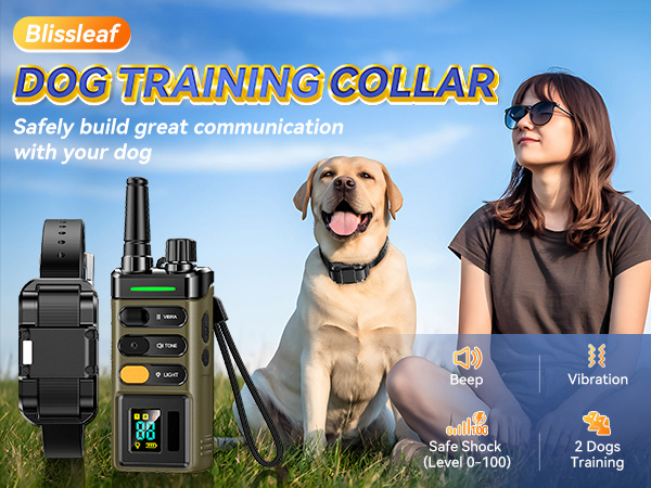 Dog Shock Collar - 01