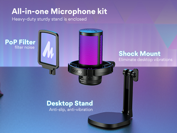 Condenser Microphone
