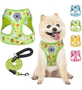 BEAUTYZOO Step in Dog Harness and Leash Set,Reflective Dog Harness No Pull No Choke Puppy Harness...