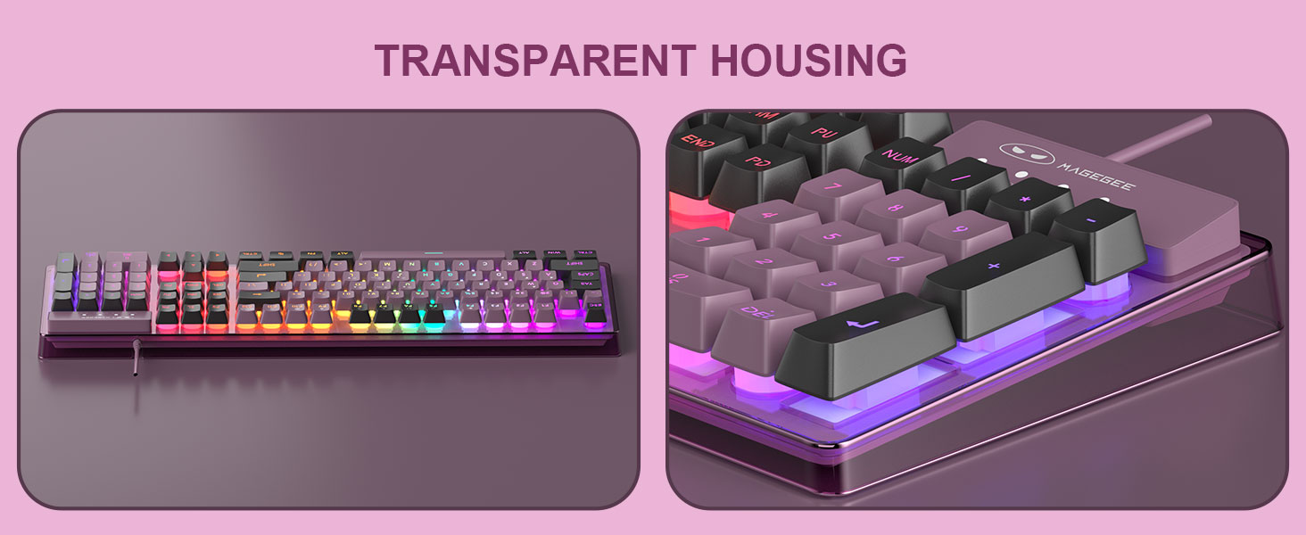 Transparent Housing