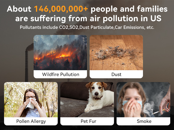 D10-01 Air Purifiers
