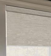 motorized dual roller shades