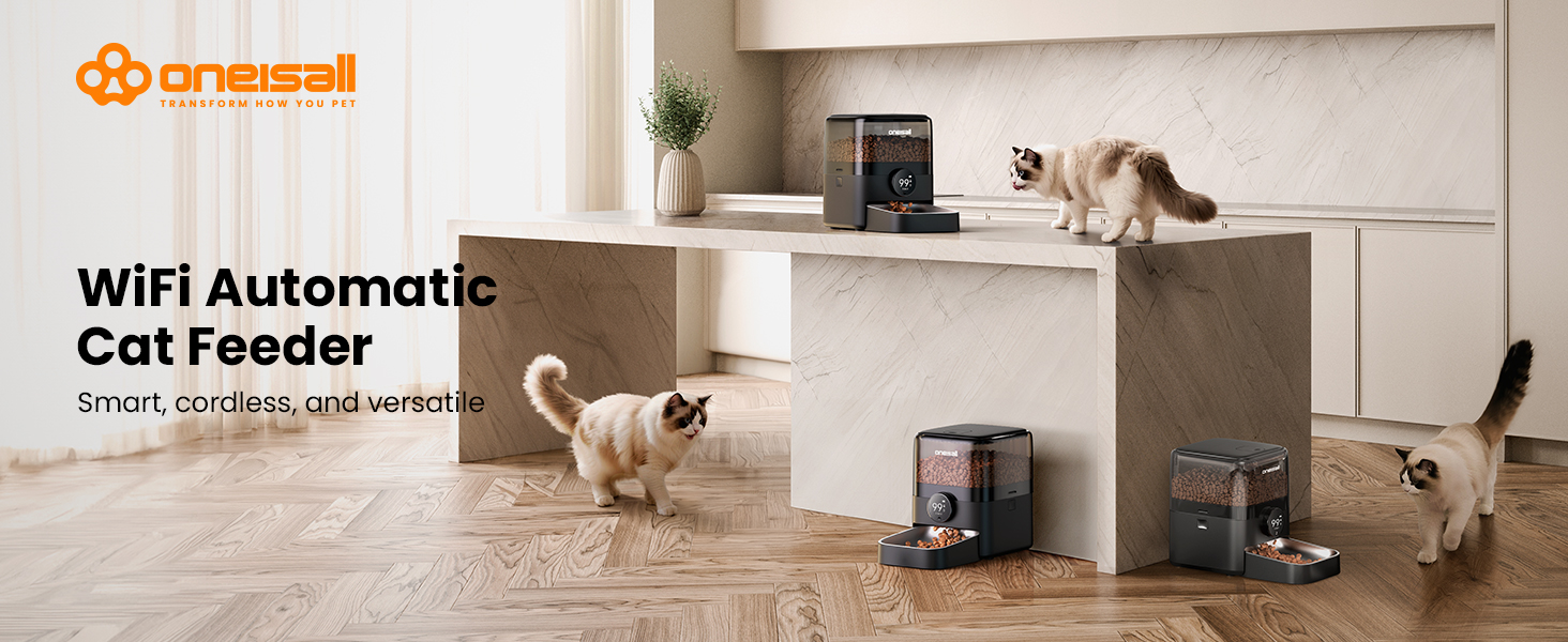 automatic cat feeder