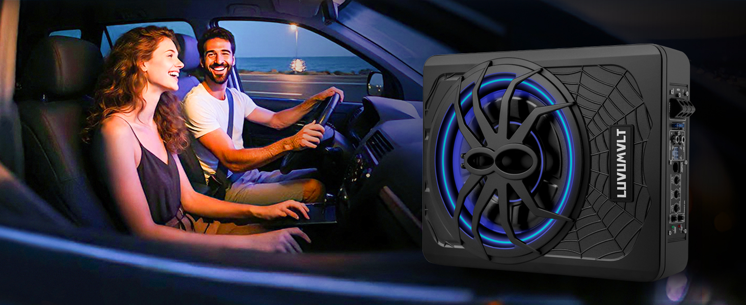 Car Subwoofer