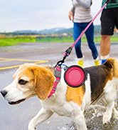 dog Leash for big dogs puppy leash rope