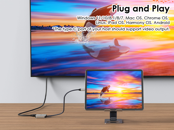 usb c to hdmi adapter