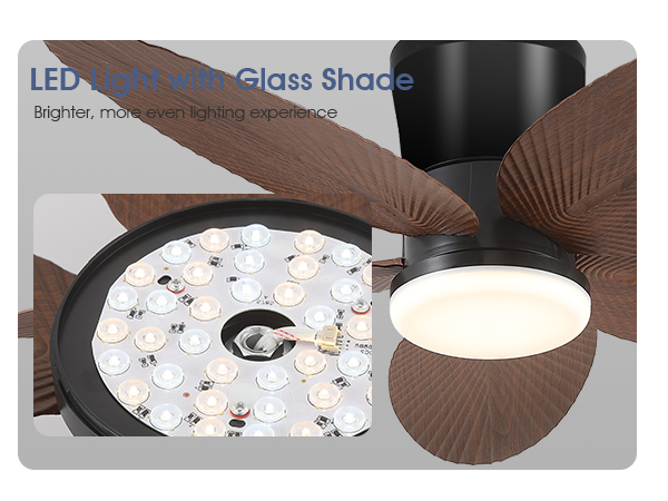 ceiling fan