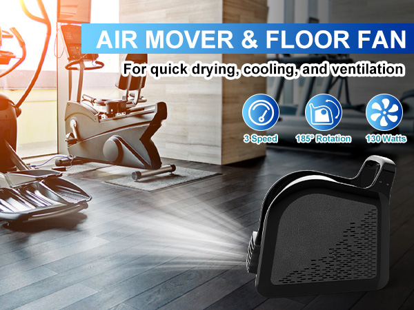 air mover