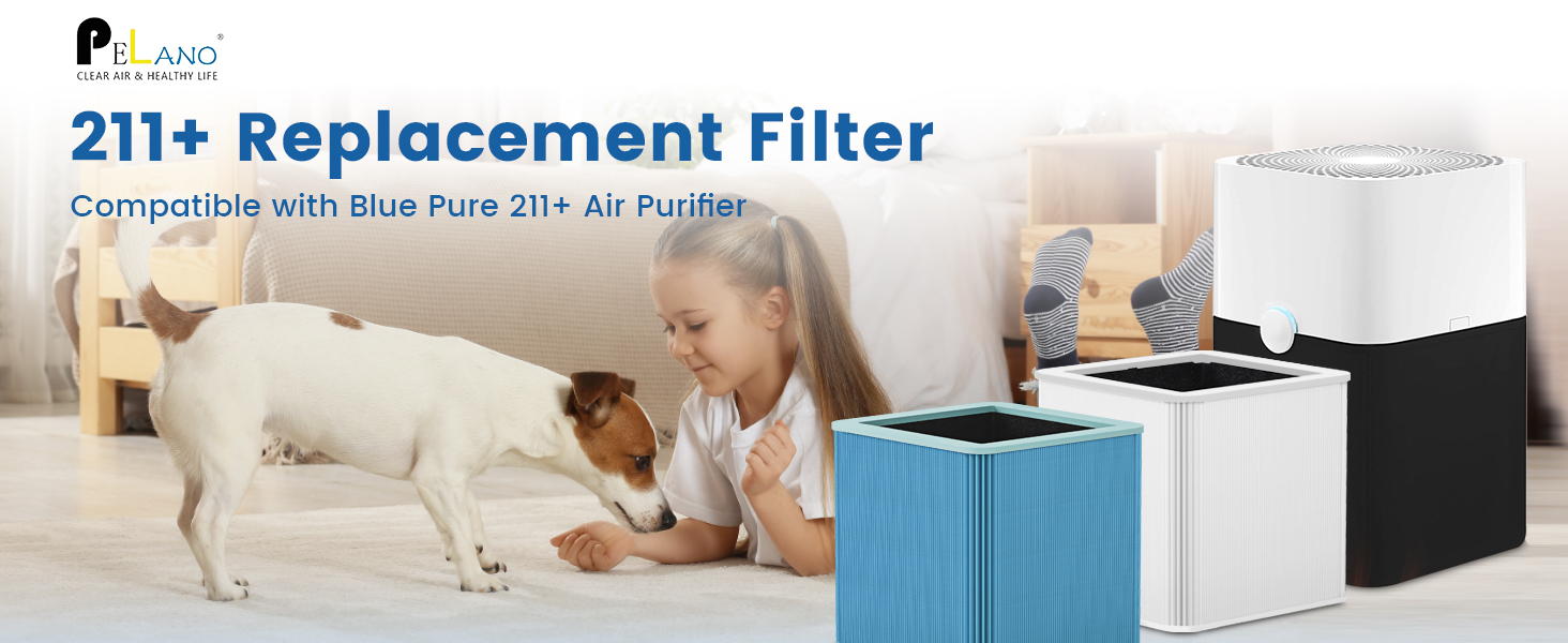 211+ Replacement Filter