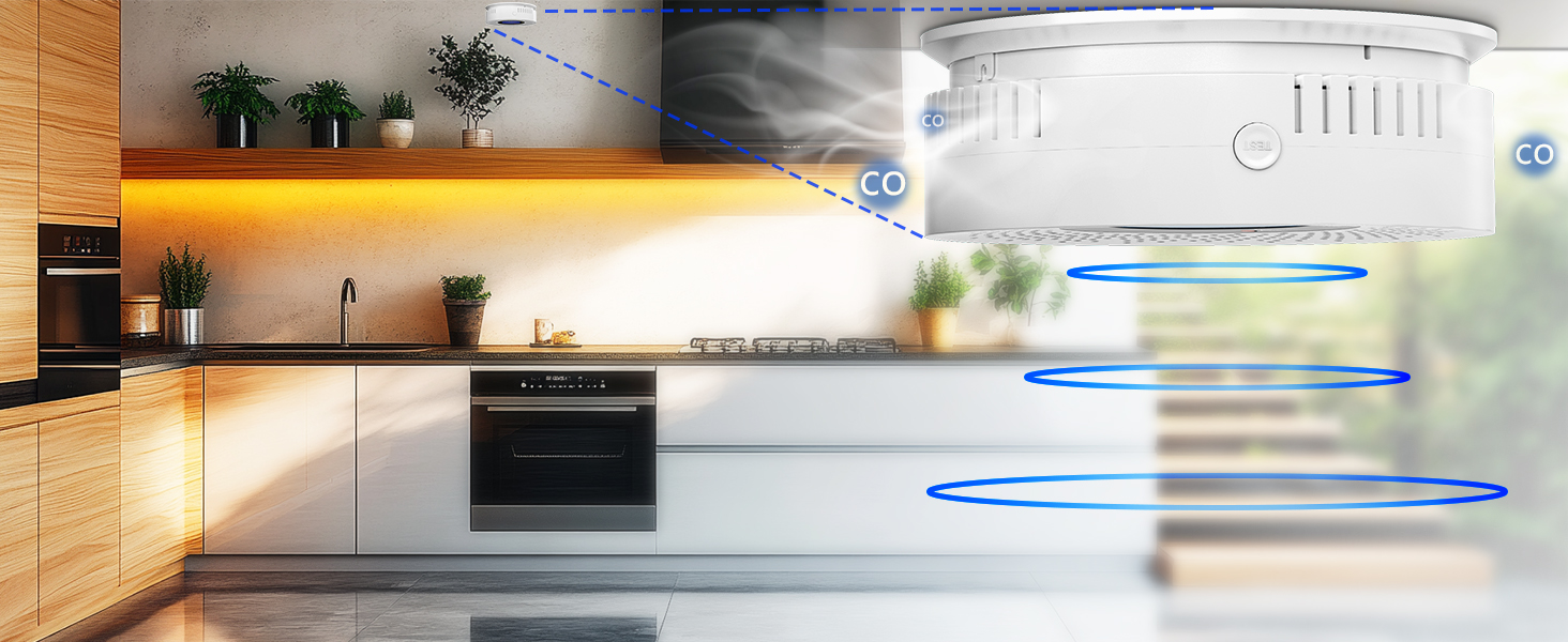 carbon monoxide detector