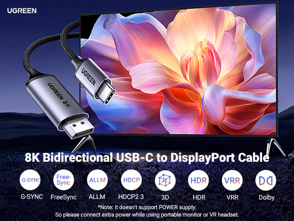 USBC to DisplayPort cable