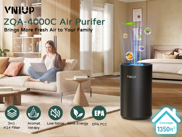 air cleaners for home