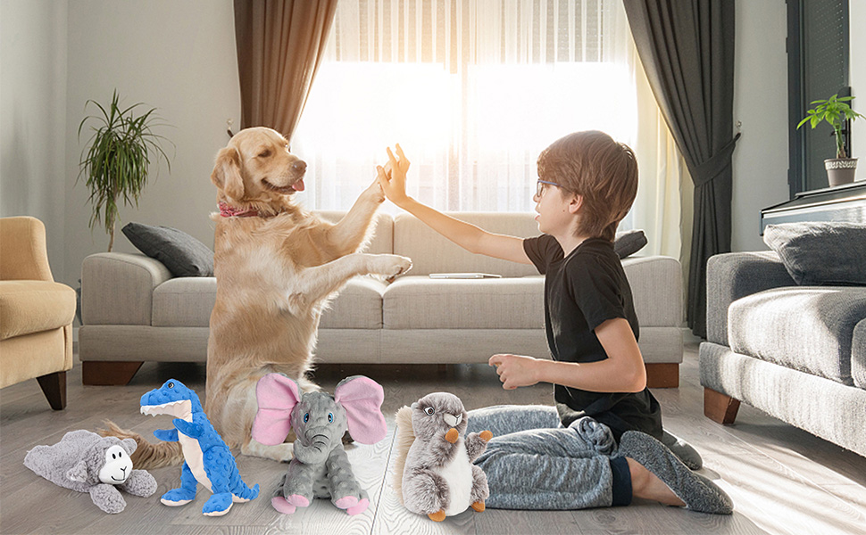 Dog toys