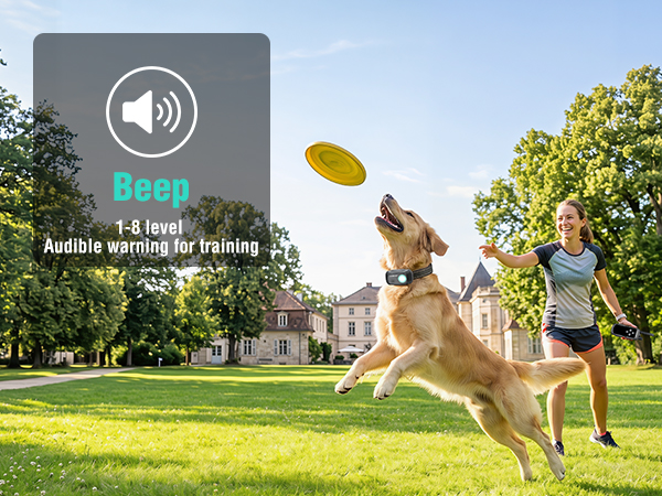 dog shock collar with remote control