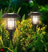 Solar Lights 6 Pack