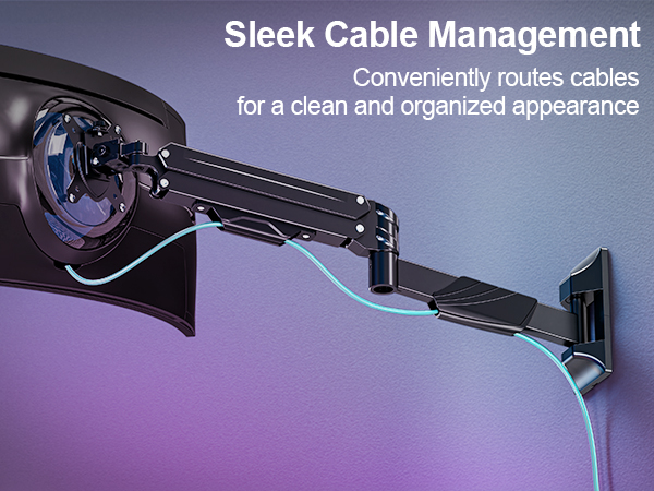 ultrawide monitor mount