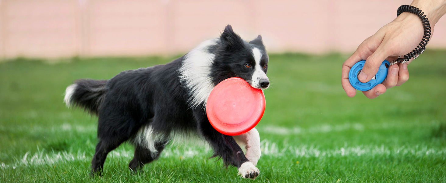 dog clicker for training