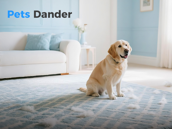 Air Purifiers for pet