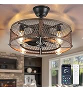 Depuley Outdoor Ceiling Fan with Light: 20" Caged Ceiling Fans with Remote App Control for Patio ...