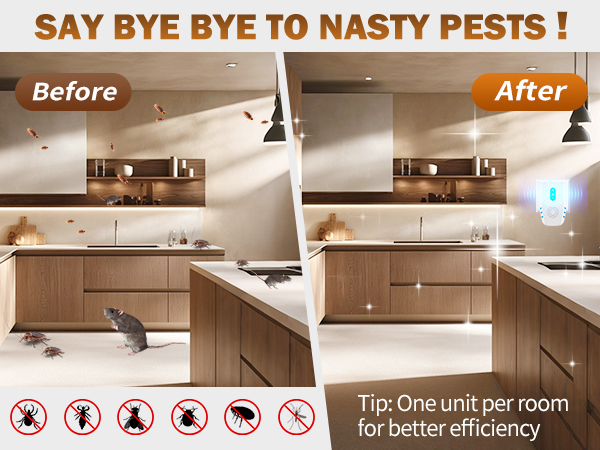 Before &amp;amp;amp; After