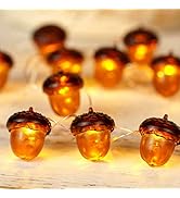 BOHON 3D Acorn Fall Decor Harvest String Lights Battery Powered with Remote and Timer 10ft 30 LED...