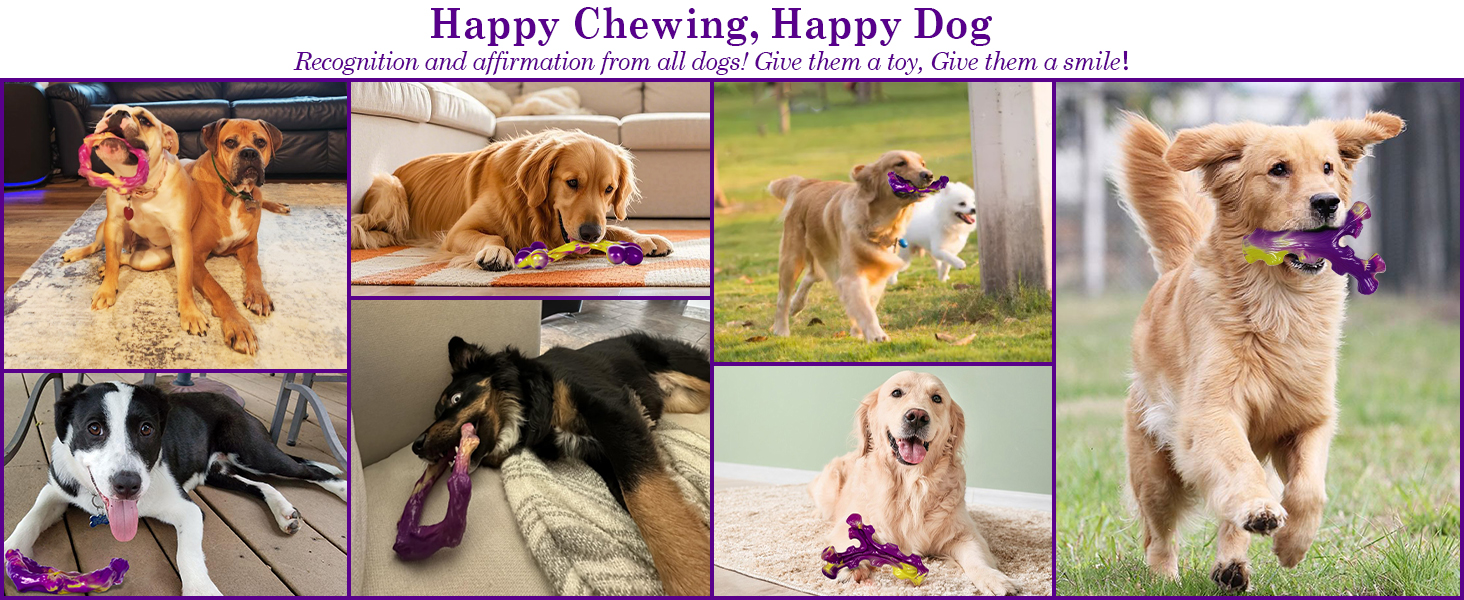 dog chew toys