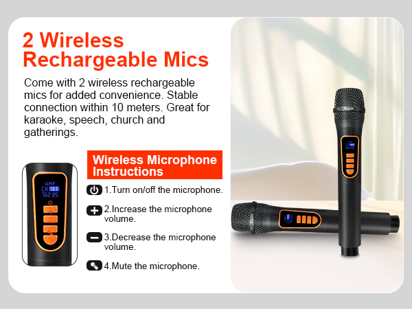 2 rechargeable mics