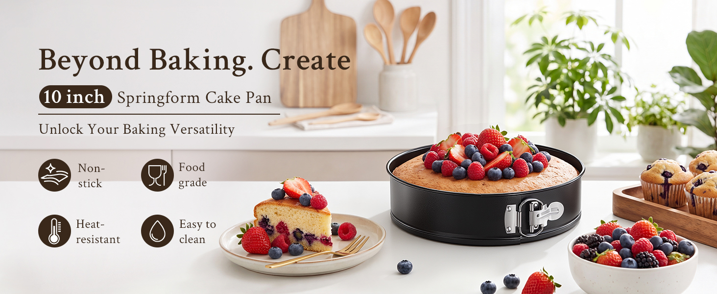 10 inch springform pan