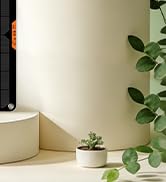 Hoysicy 12 Volt 20W Solar Car Battery Charger &amp; Maintainer, Solar Panel Trickle Charger, with All...