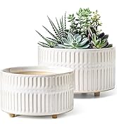 LE TAUCI Succulent Pots, 6.5+8 Inch Ceramic Indoor Plant Pot with Drainage Hole, Modern Round Dec...