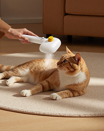 Cat Steam Brush